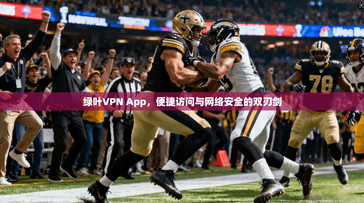 绿叶VPN App，便捷访问与网络安全的双刃剑