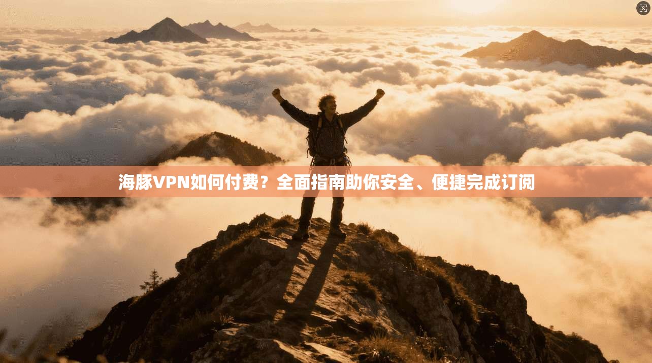 海豚VPN如何付费？全面指南助你安全、便捷完成订阅