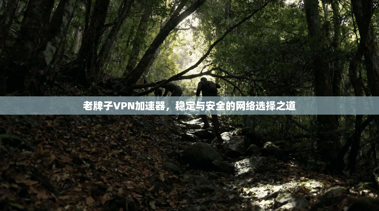 老牌子VPN加速器，稳定与安全的网络选择之道