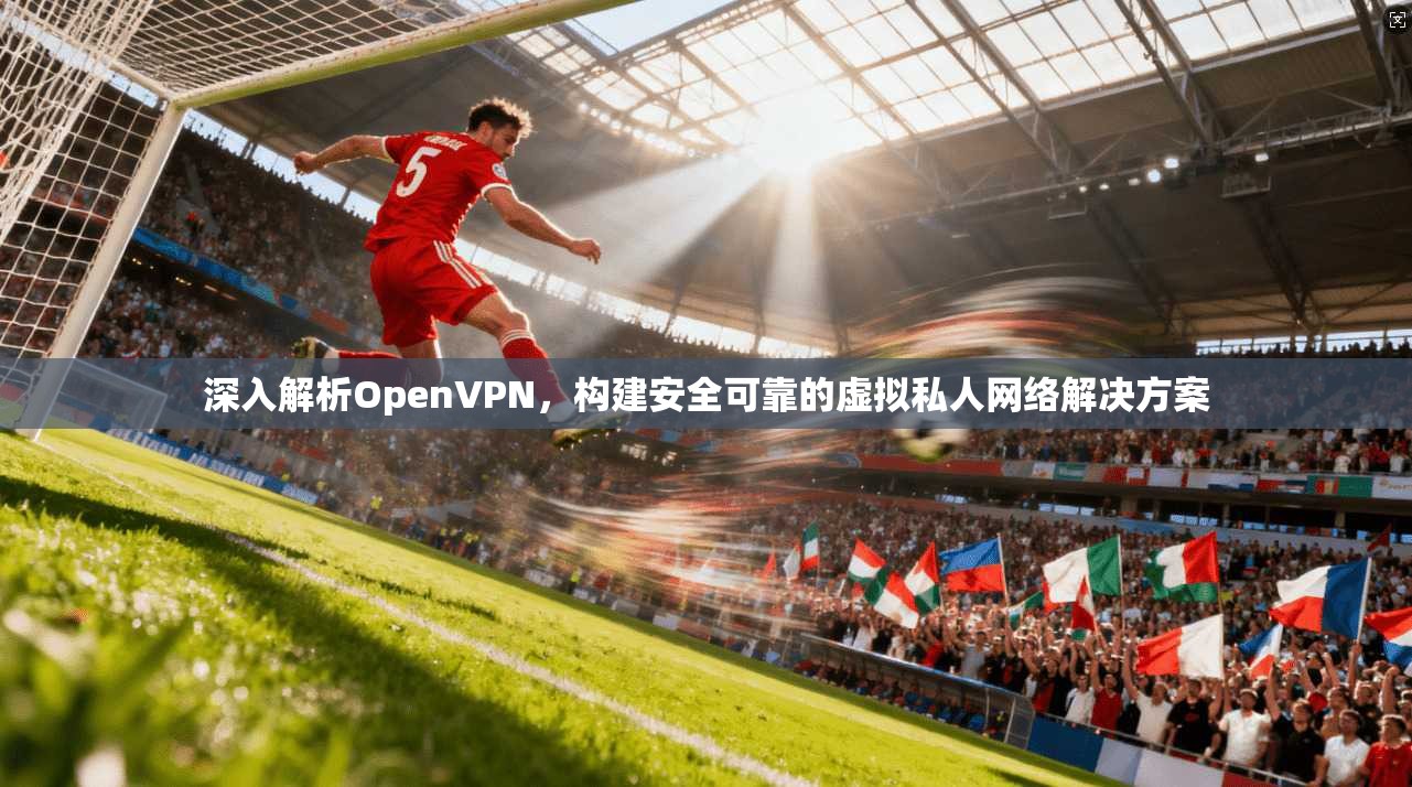 深入解析OpenVPN，构建安全可靠的虚拟私人网络解决方案