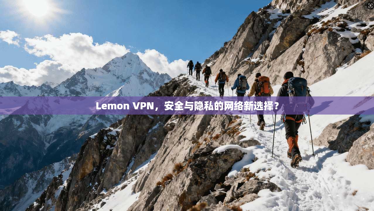 Lemon VPN，安全与隐私的网络新选择？