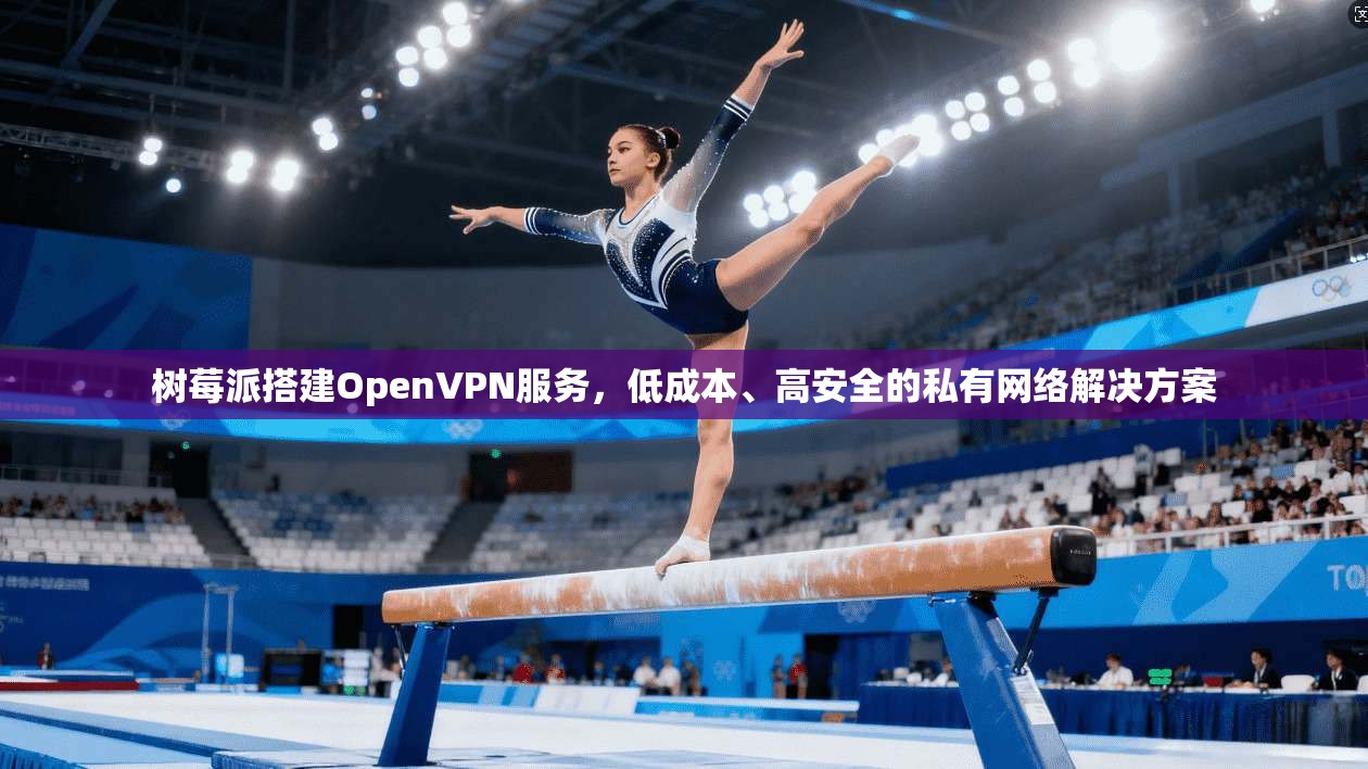 树莓派搭建OpenVPN服务，低成本、高安全的私有网络解决方案