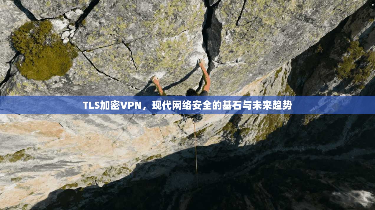 TLS加密VPN，现代网络安全的基石与未来趋势