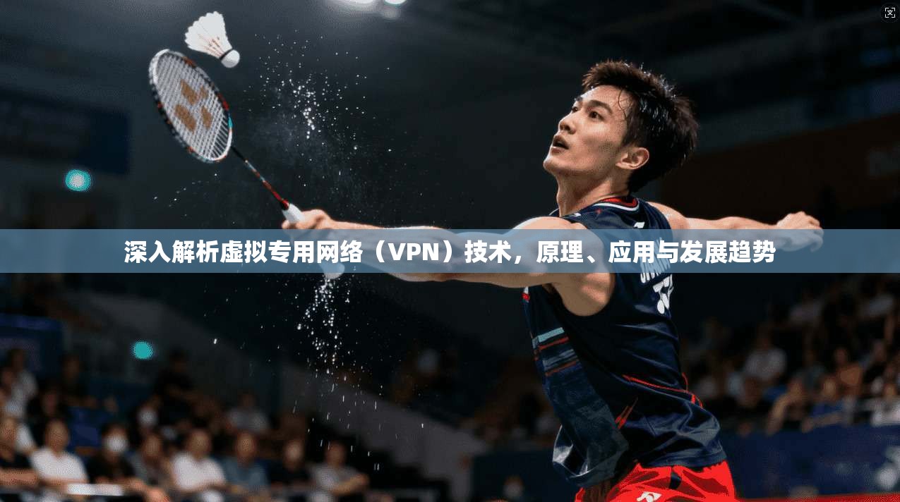 深入解析虚拟专用网络（VPN）技术，原理、应用与发展趋势