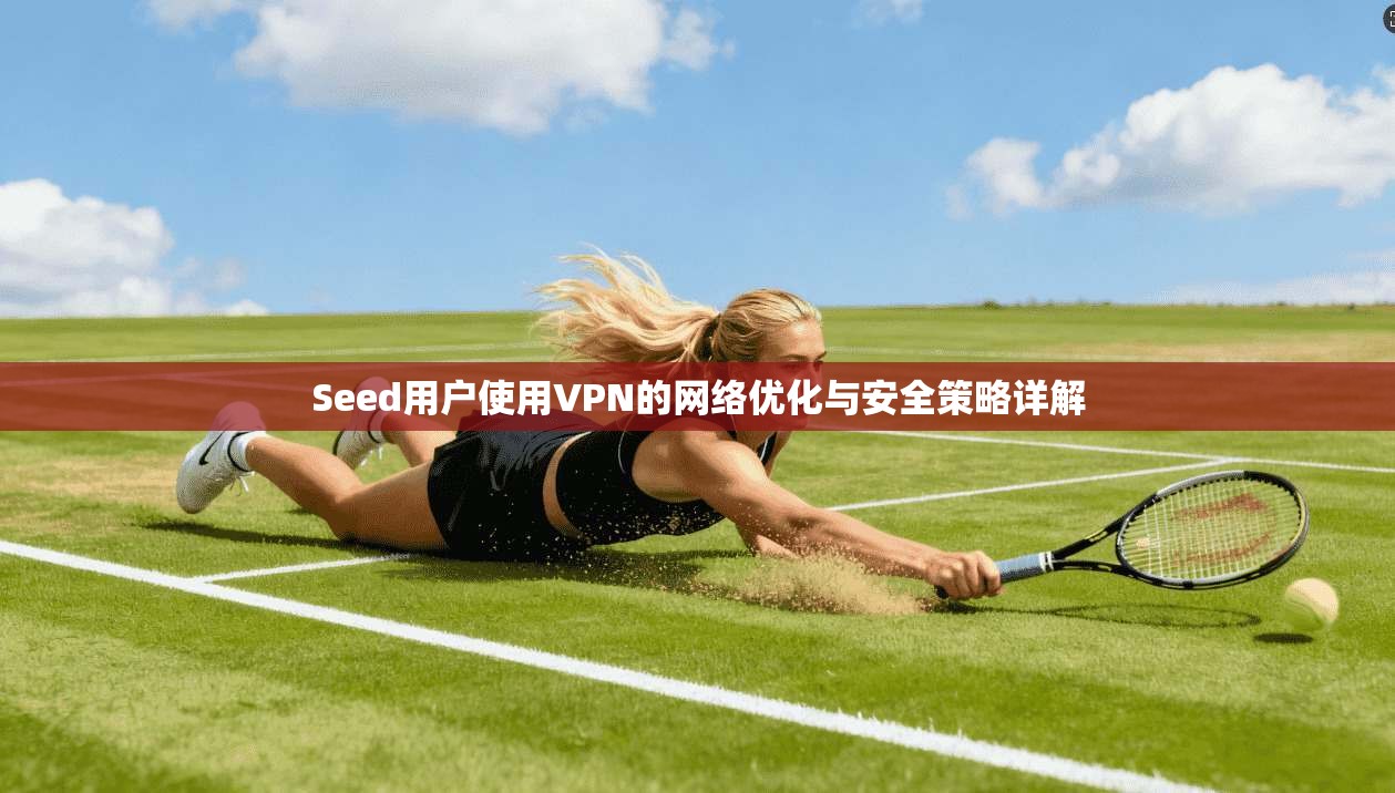 Seed用户使用VPN的网络优化与安全策略详解