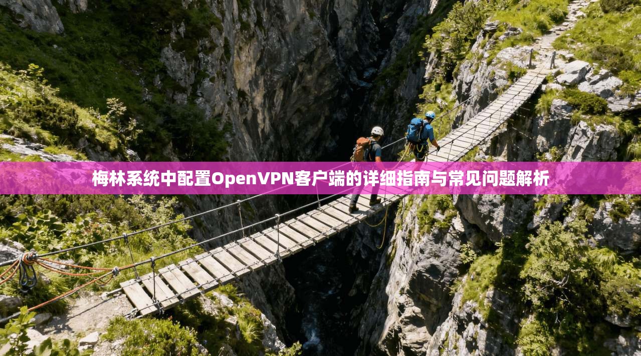 梅林系统中配置OpenVPN客户端的详细指南与常见问题解析