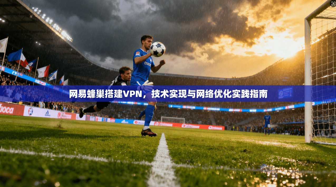 网易蜂巢搭建VPN，技术实现与网络优化实践指南