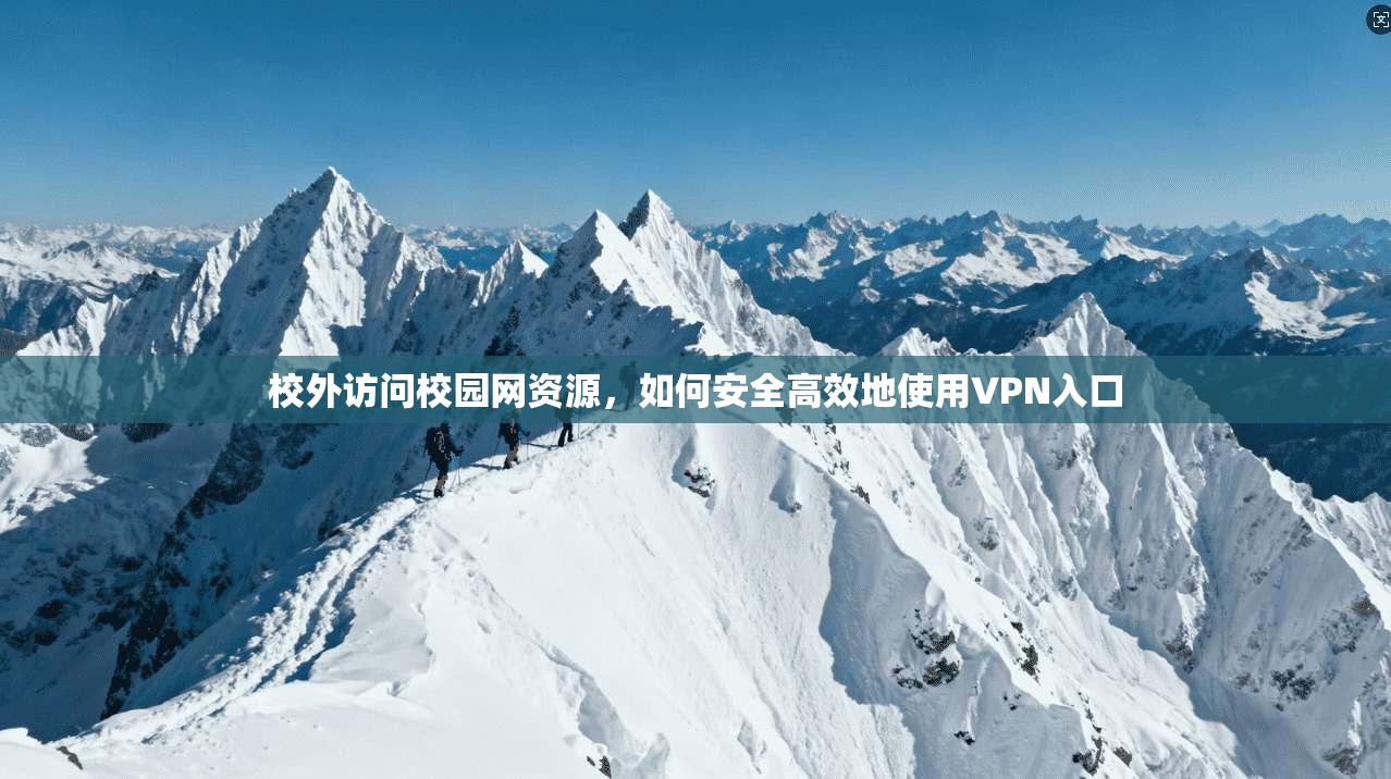 校外访问校园网资源，如何安全高效地使用VPN入口