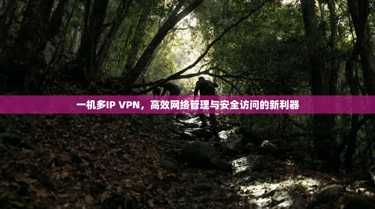 一机多IP VPN，高效网络管理与安全访问的新利器