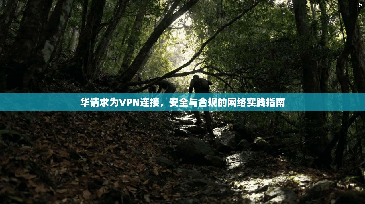 华请求为VPN连接，安全与合规的网络实践指南