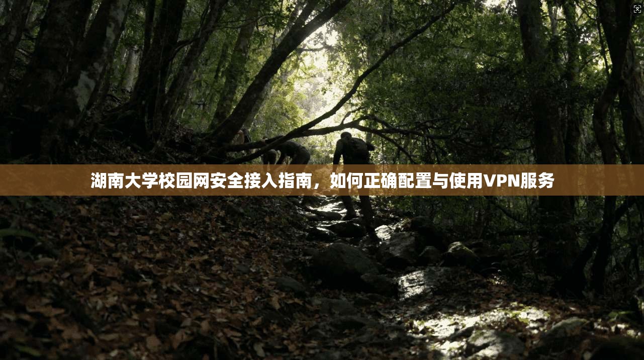 湖南大学校园网安全接入指南，如何正确配置与使用VPN服务