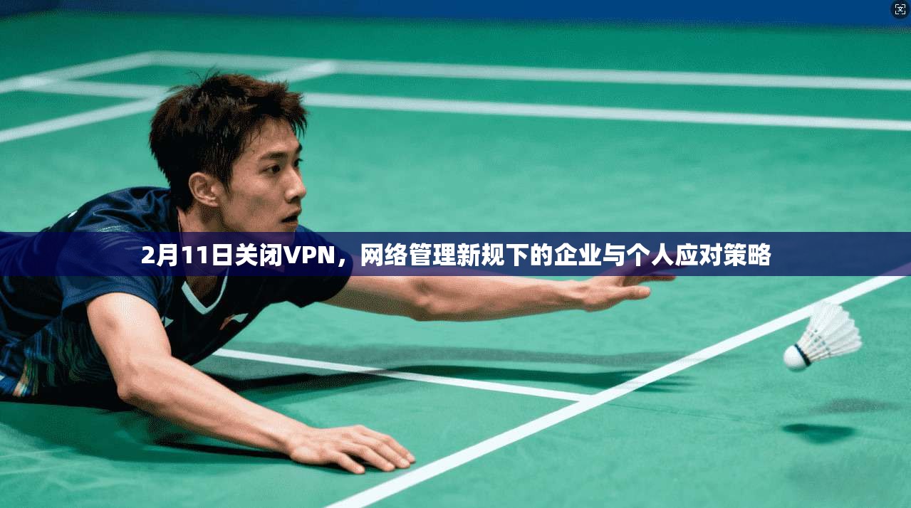2月11日关闭VPN，网络管理新规下的企业与个人应对策略