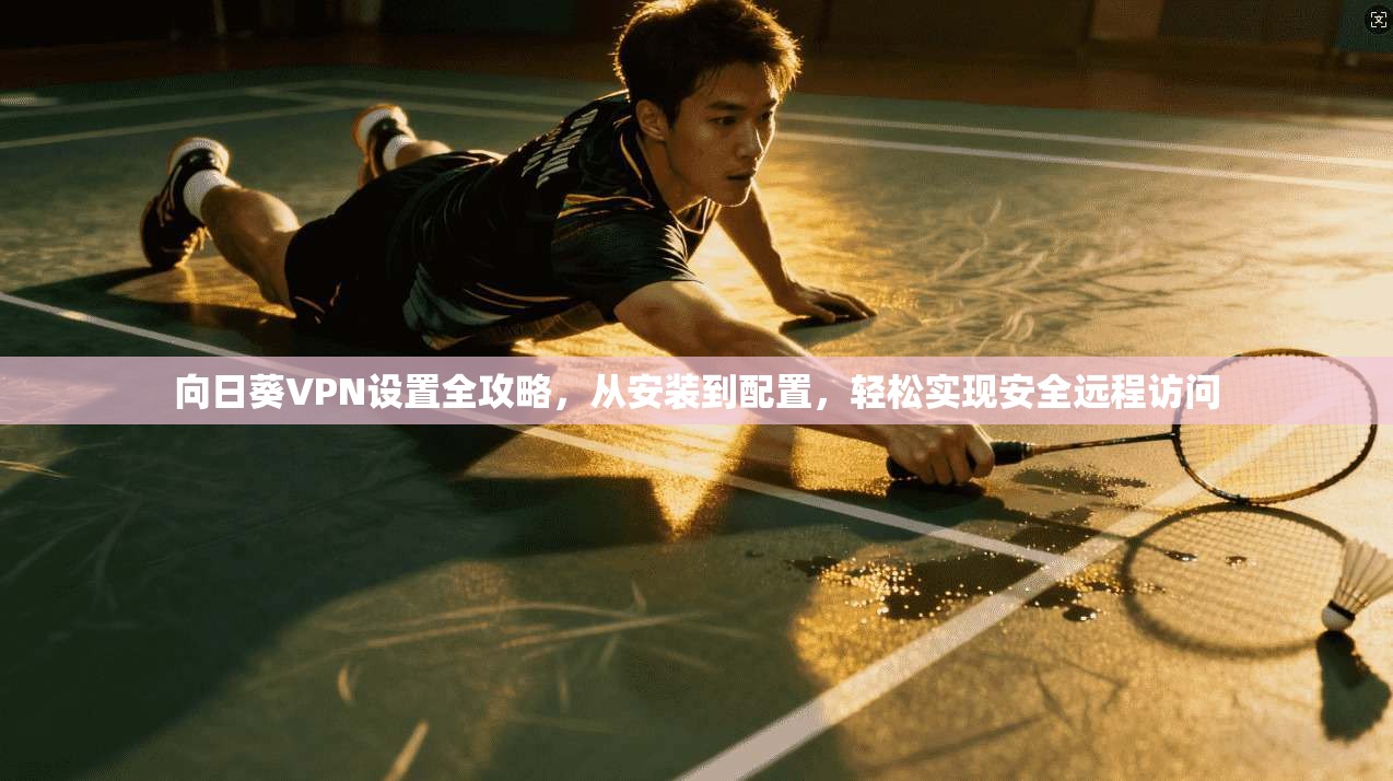 向日葵VPN设置全攻略，从安装到配置，轻松实现安全远程访问