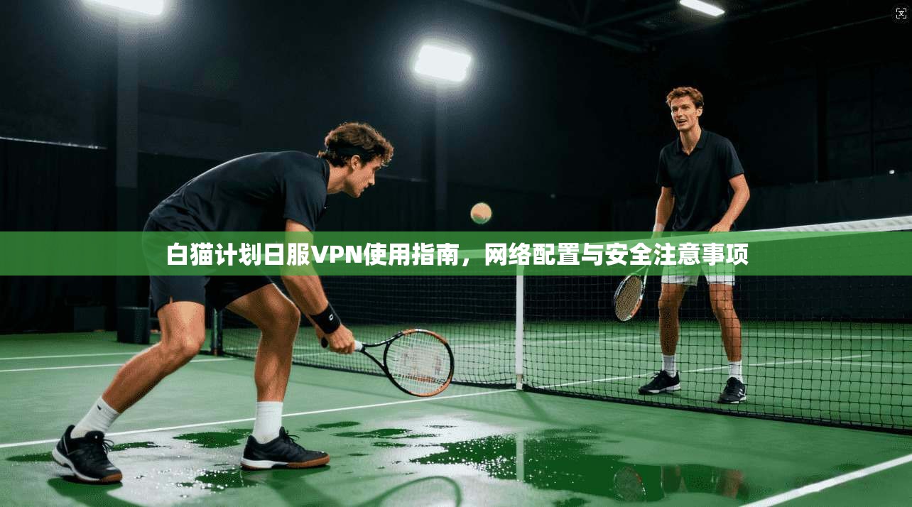 白猫计划日服VPN使用指南，网络配置与安全注意事项