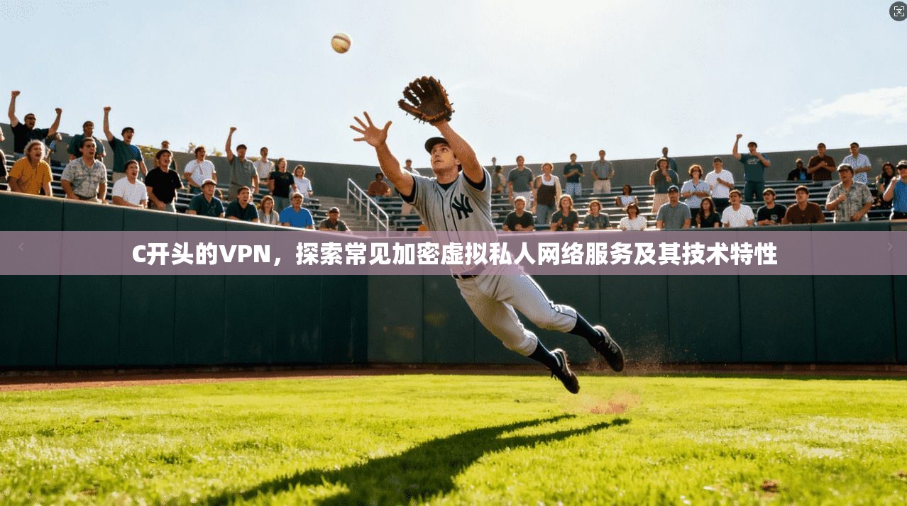 C开头的VPN，探索常见加密虚拟私人网络服务及其技术特性