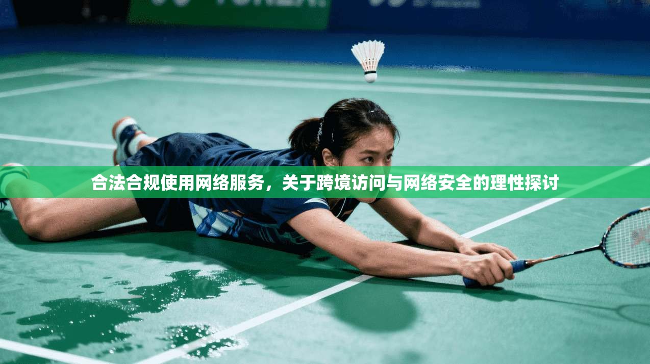 合法合规使用网络服务，关于跨境访问与网络安全的理性探讨