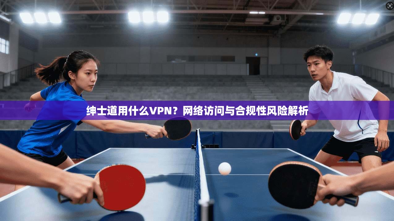 绅士道用什么VPN？网络访问与合规性风险解析