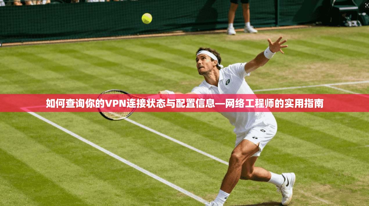 如何查询你的VPN连接状态与配置信息—网络工程师的实用指南
