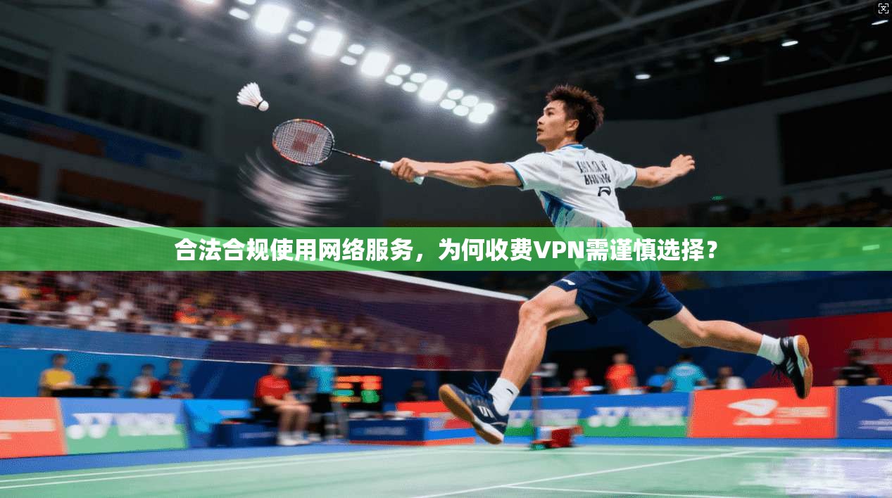 合法合规使用网络服务，为何收费VPN需谨慎选择？
