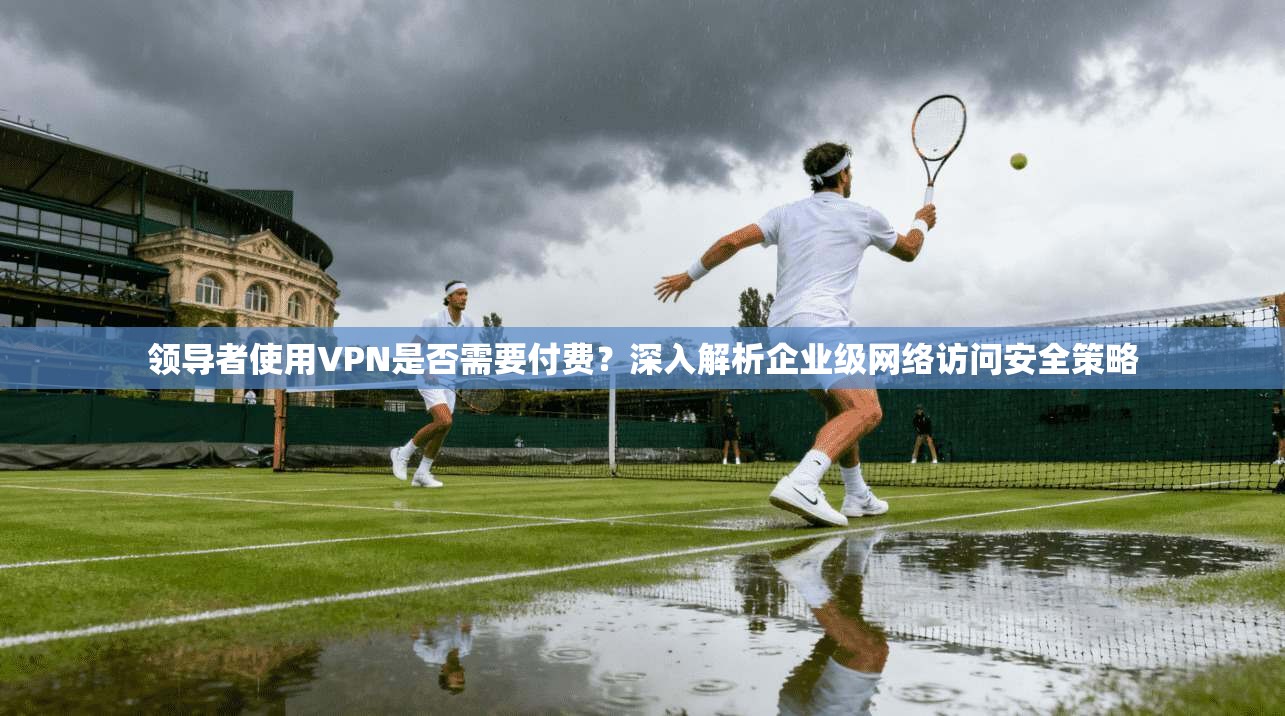 领导者使用VPN是否需要付费？深入解析企业级网络访问安全策略
