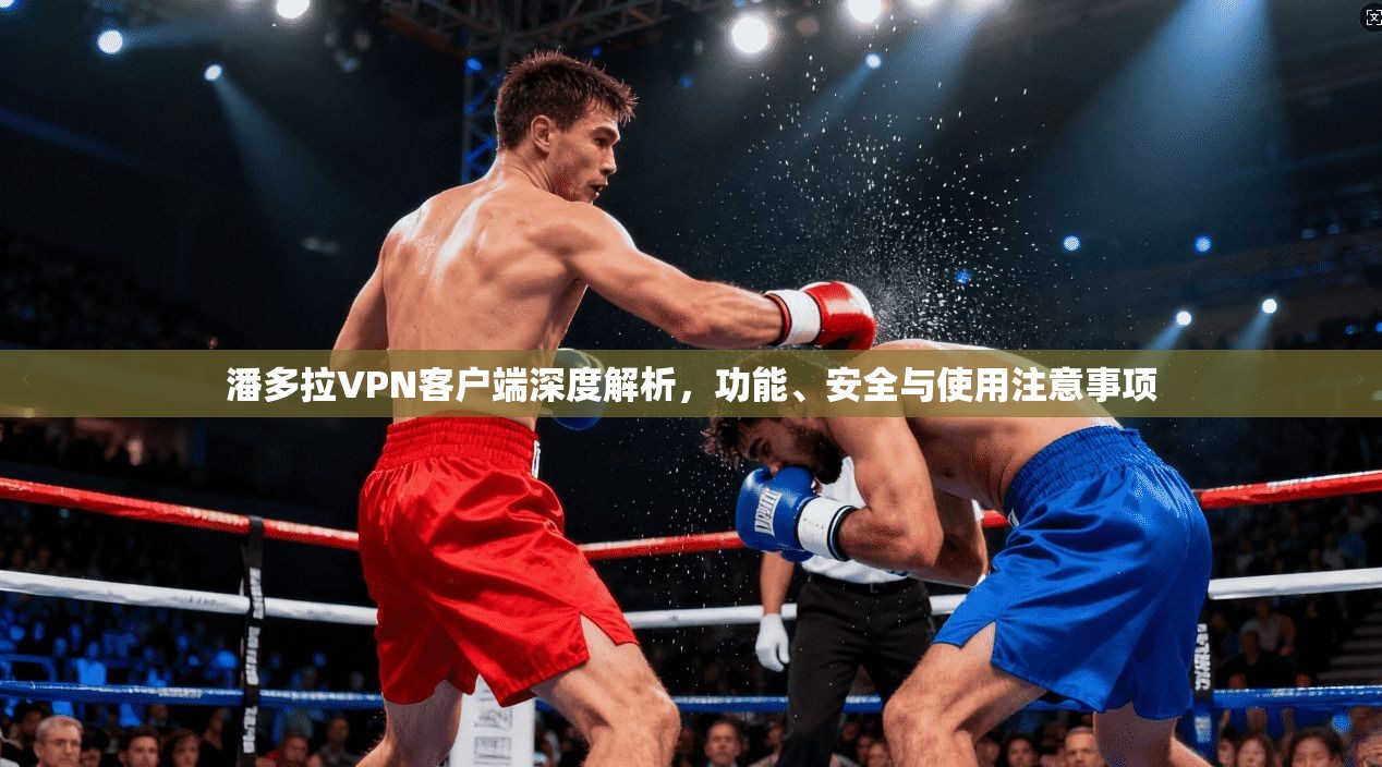 潘多拉VPN客户端深度解析，功能、安全与使用注意事项