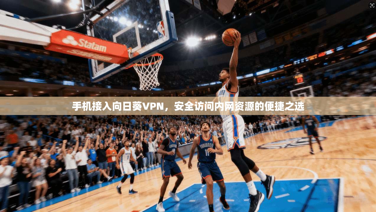 手机接入向日葵VPN，安全访问内网资源的便捷之选