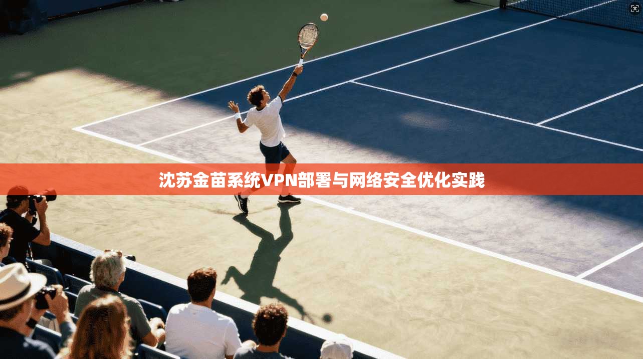沈苏金苗系统VPN部署与网络安全优化实践