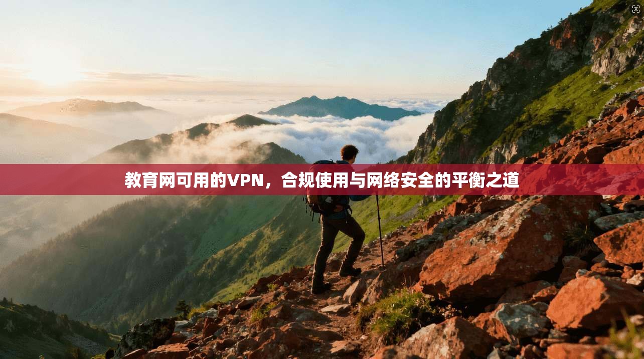 教育网可用的VPN，合规使用与网络安全的平衡之道