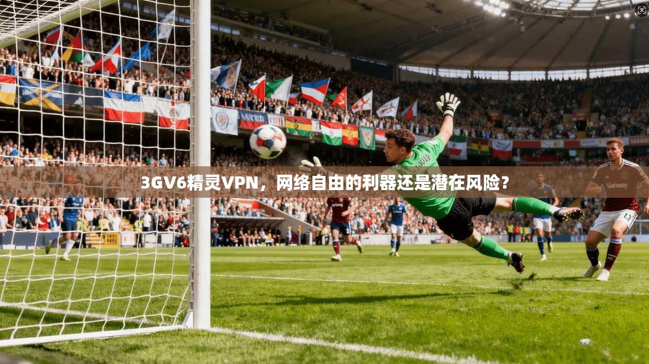 3GV6精灵VPN，网络自由的利器还是潜在风险？
