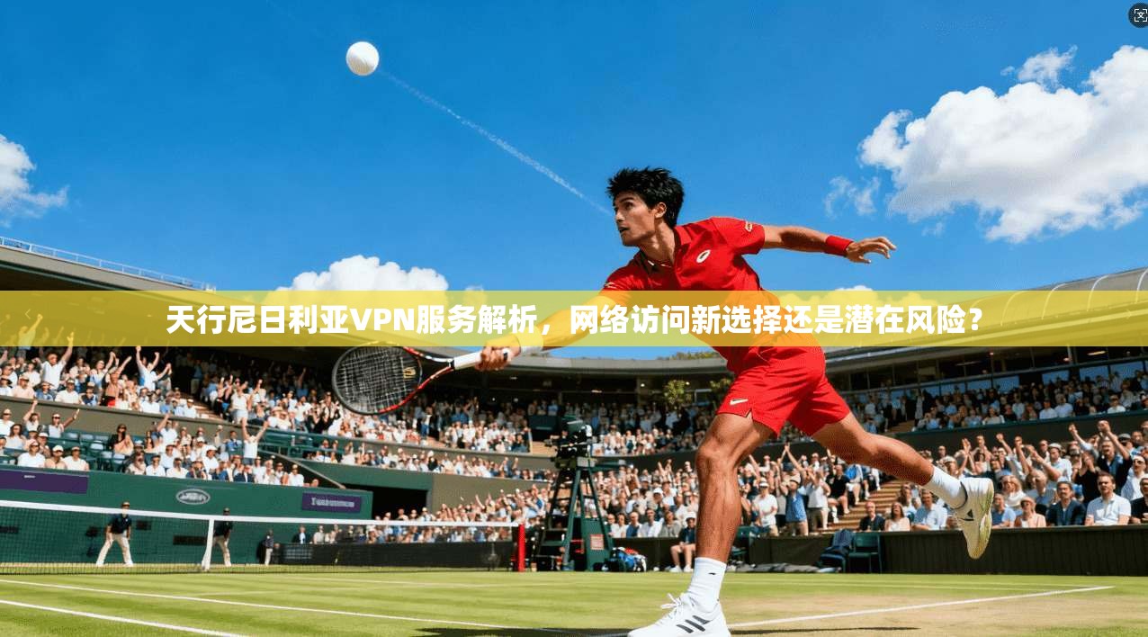 天行尼日利亚VPN服务解析，网络访问新选择还是潜在风险？