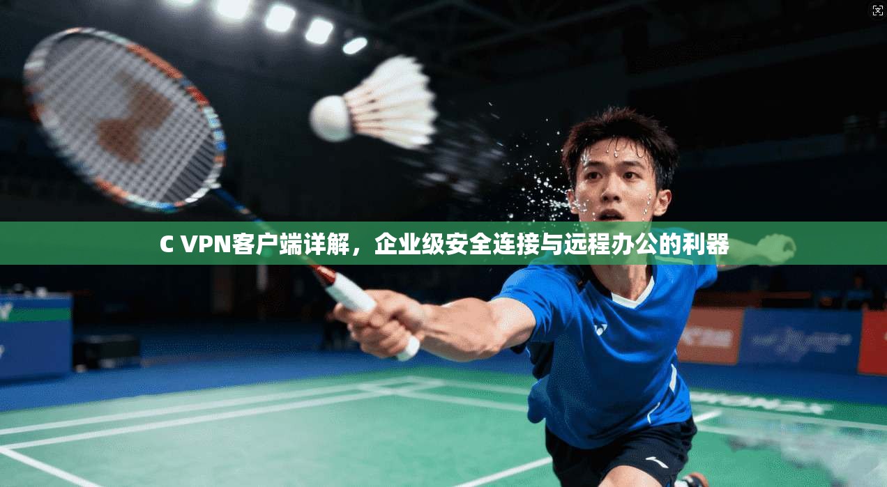 C VPN客户端详解，企业级安全连接与远程办公的利器