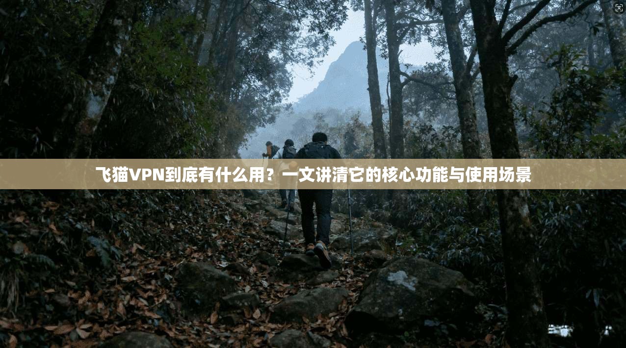 飞猫VPN到底有什么用？一文讲清它的核心功能与使用场景