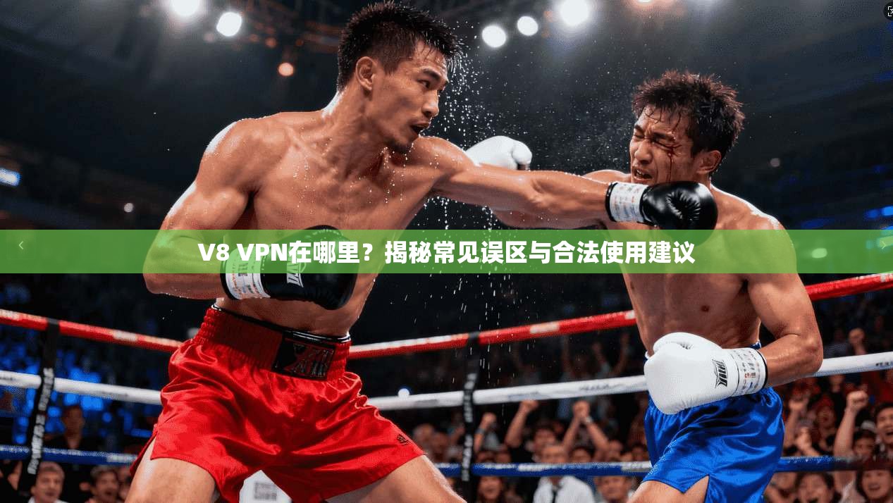 V8 VPN在哪里？揭秘常见误区与合法使用建议