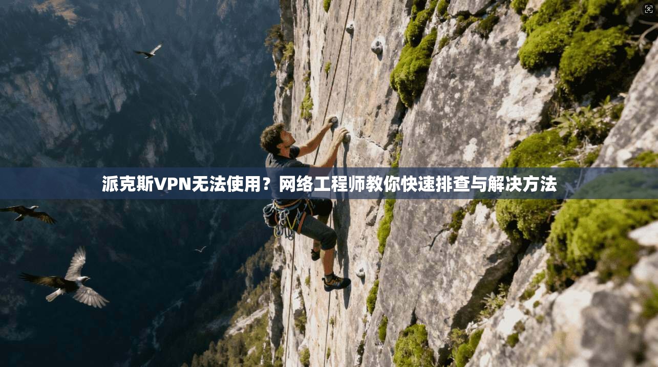 派克斯VPN无法使用？网络工程师教你快速排查与解决方法