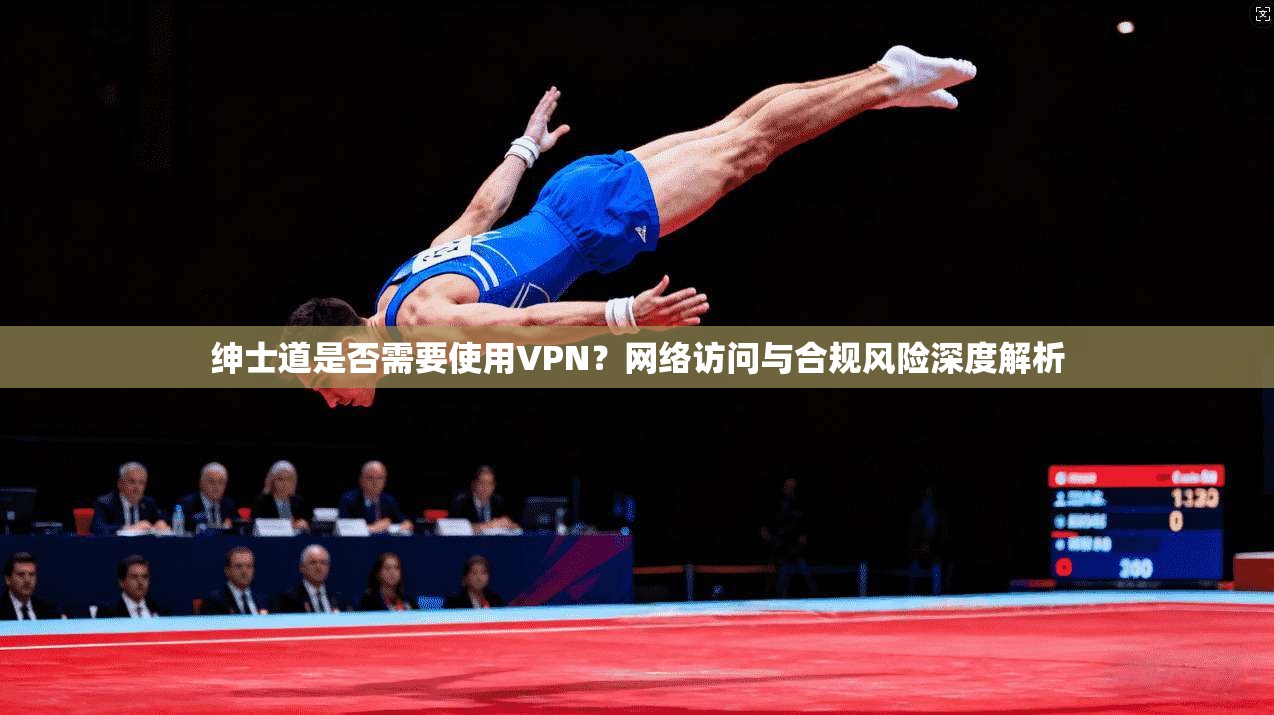 绅士道是否需要使用VPN？网络访问与合规风险深度解析