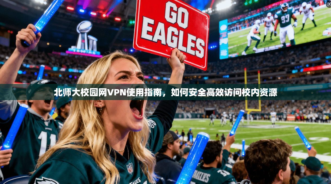 北师大校园网VPN使用指南，如何安全高效访问校内资源