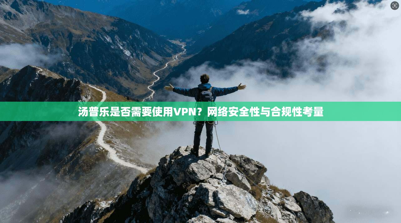 汤普乐是否需要使用VPN？网络安全性与合规性考量