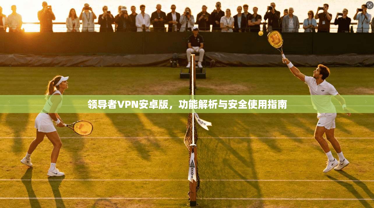 领导者VPN安卓版，功能解析与安全使用指南