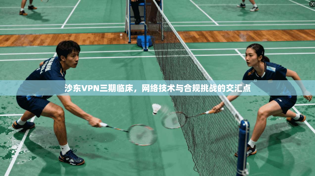 沙东VPN三期临床，网络技术与合规挑战的交汇点