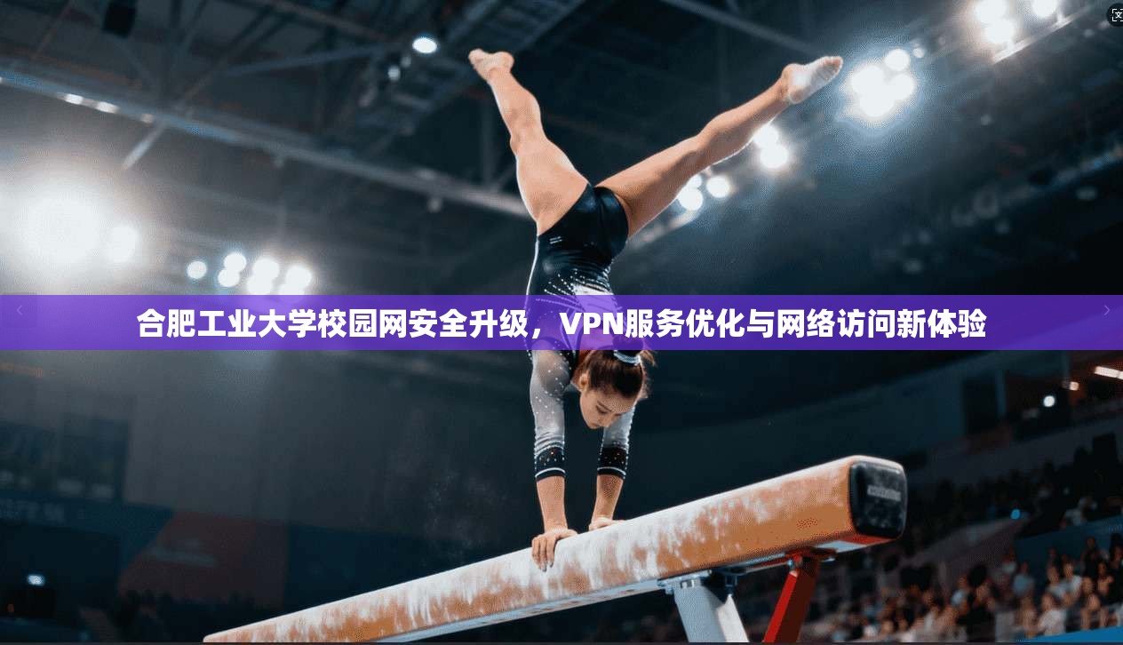 合肥工业大学校园网安全升级，VPN服务优化与网络访问新体验