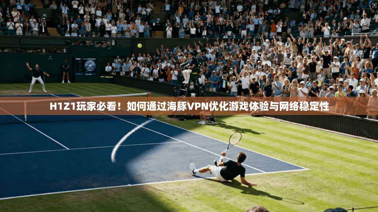 H1Z1玩家必看！如何通过海豚VPN优化游戏体验与网络稳定性
