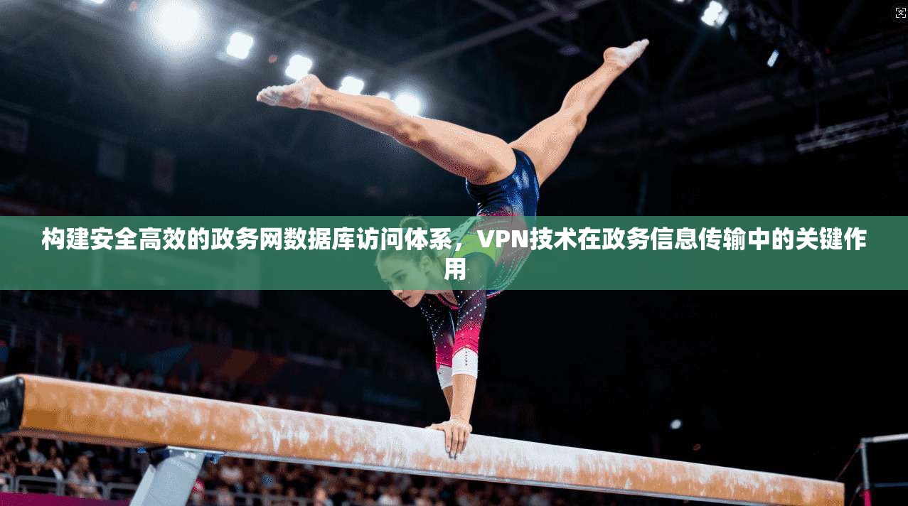 构建安全高效的政务网数据库访问体系，VPN技术在政务信息传输中的关键作用