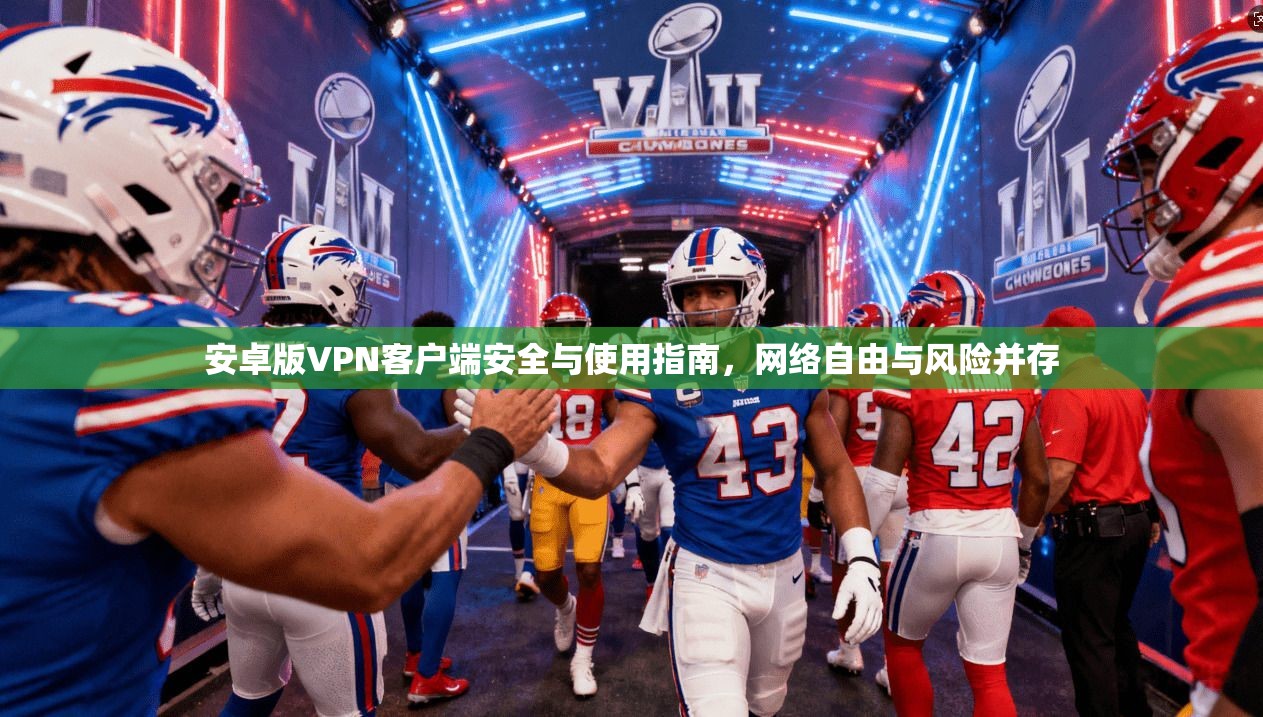 安卓版VPN客户端安全与使用指南，网络自由与风险并存