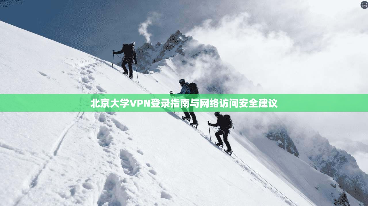 北京大学VPN登录指南与网络访问安全建议