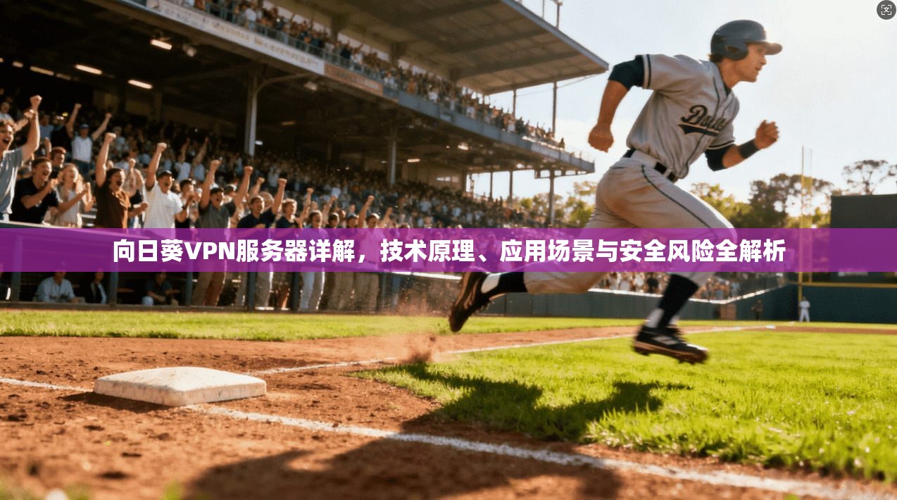 向日葵VPN服务器详解，技术原理、应用场景与安全风险全解析