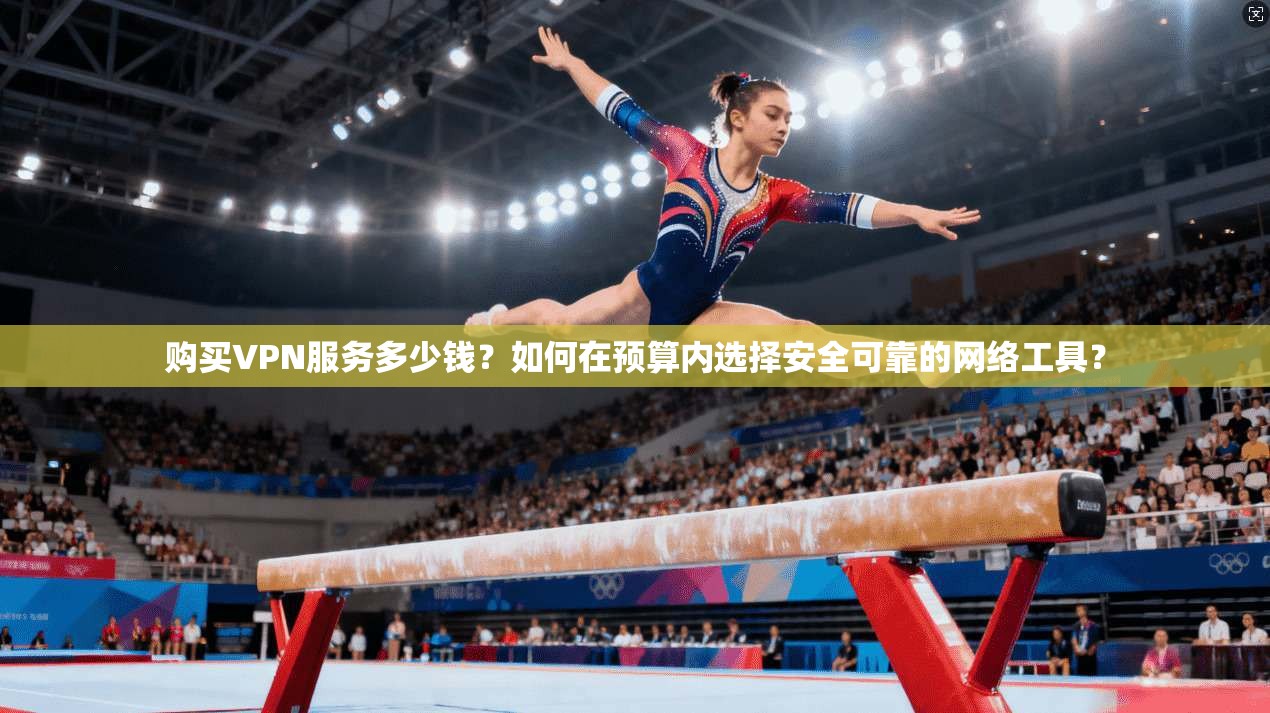 购买VPN服务多少钱？如何在预算内选择安全可靠的网络工具？
