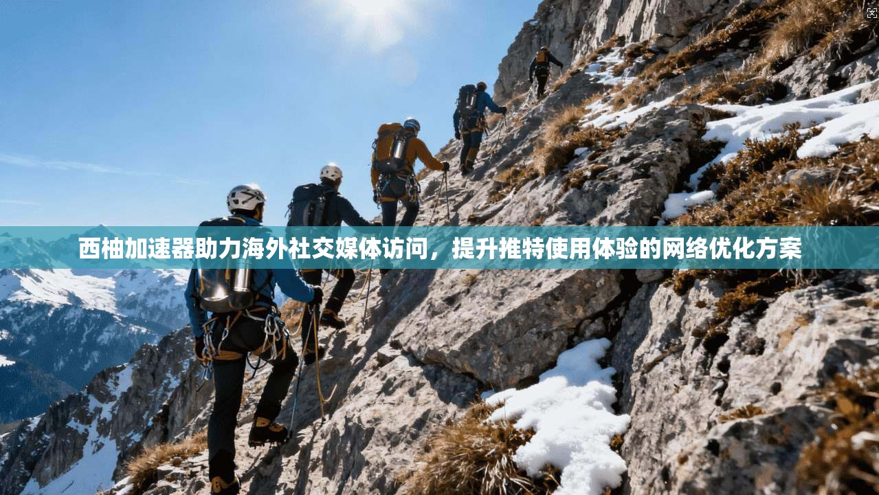 西柚加速器助力海外社交媒体访问，提升推特使用体验的网络优化方案