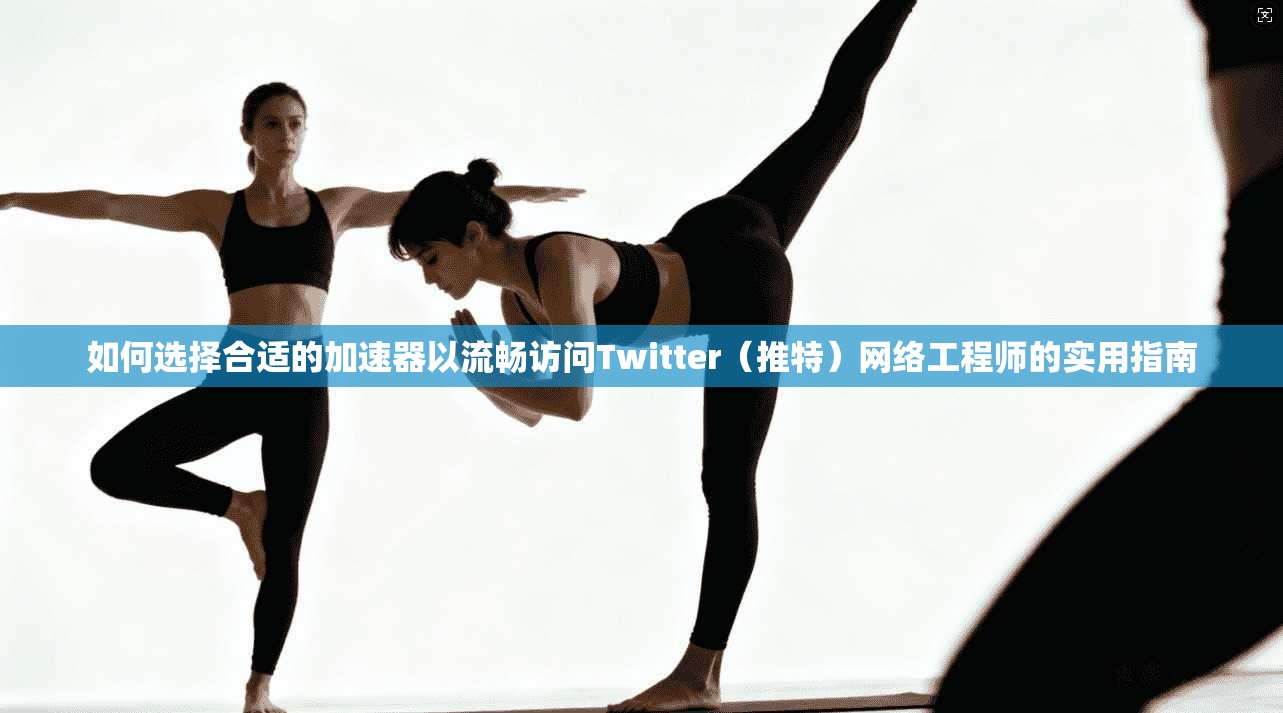 如何选择合适的加速器以流畅访问Twitter（推特）网络工程师的实用指南