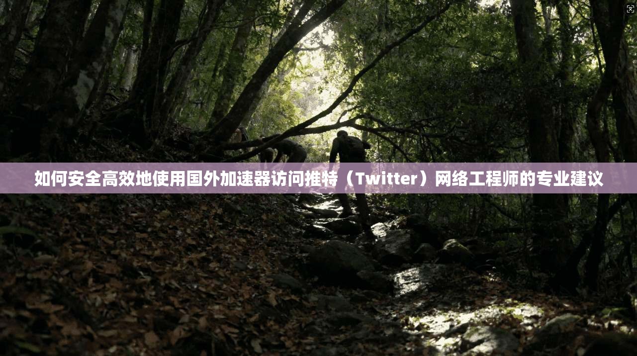 如何安全高效地使用国外加速器访问推特（Twitter）网络工程师的专业建议