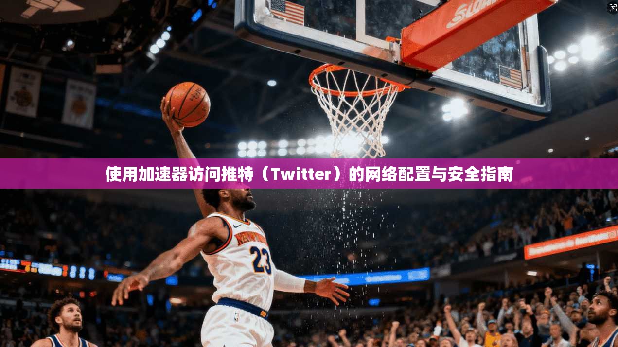 使用加速器访问推特（Twitter）的网络配置与安全指南